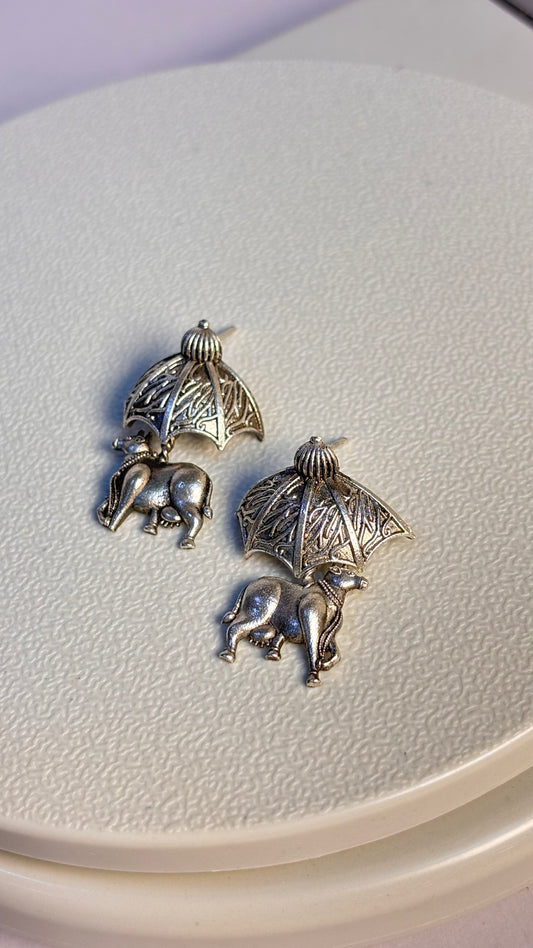Cow studs